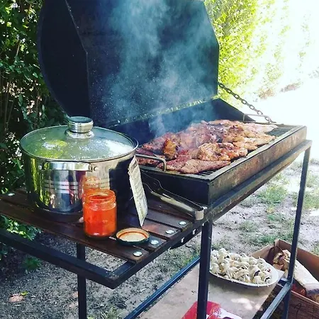 Kuca Ribarev San Beočin